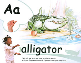 common core standards and ABC and phonics immersion