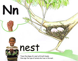 common core standards and ABC and phonics immersion