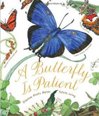 A Butterfly Is Patient 
