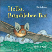Hello, Bumblebee Bat
