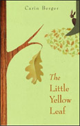 The Little Yellow Leaf