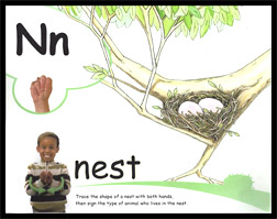 common core standards and ABC and phonics immersion