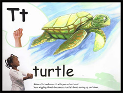 common core standards and ABC and phonics immersion